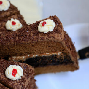 Chocolate   Truffle Slices